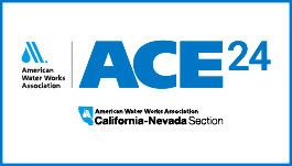 ACE24 Logo