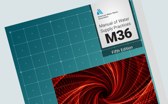 M36 Water Audits and Loss Control