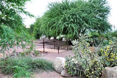 Native Sonoran Desert park 2025