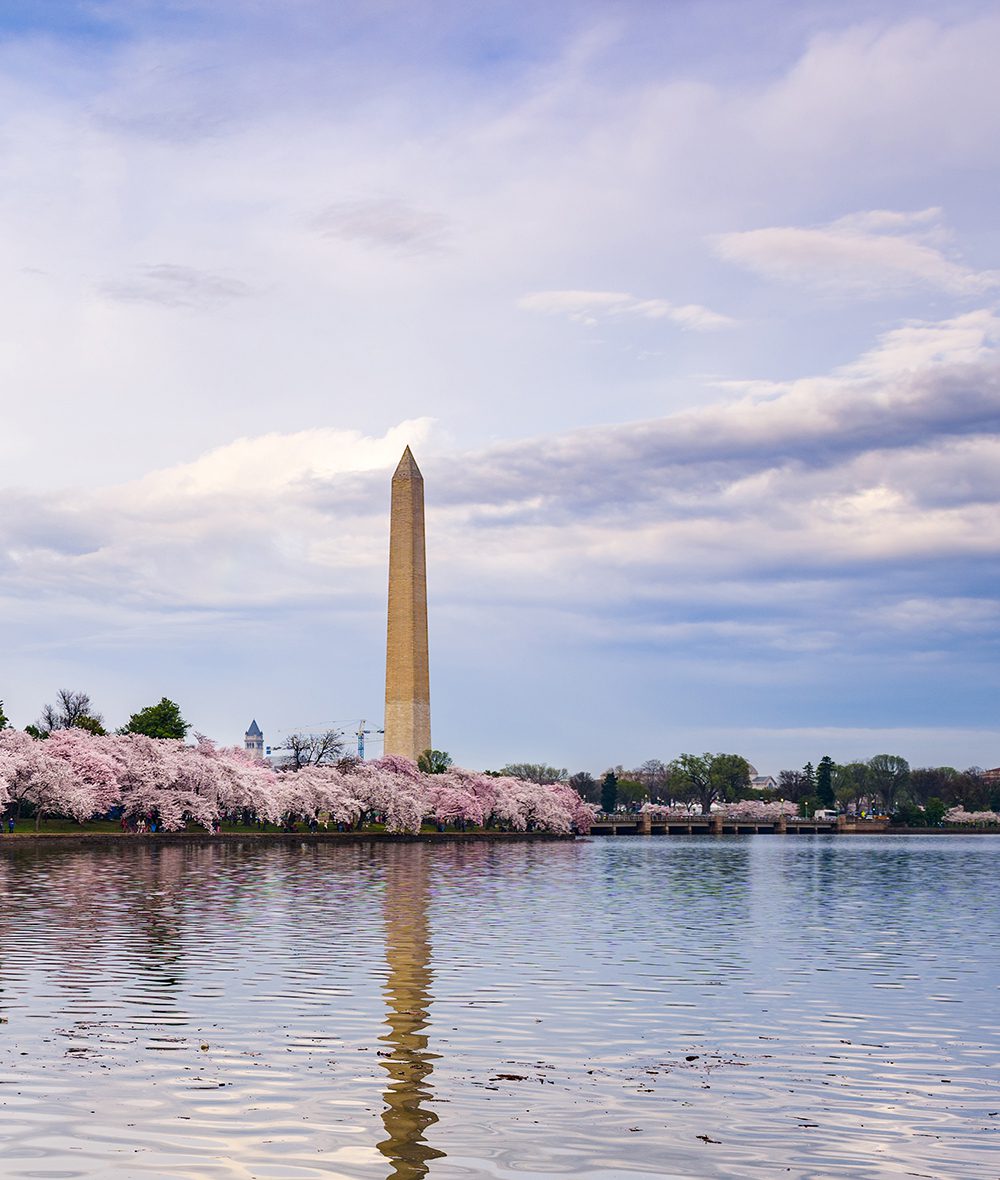 Washington DC
