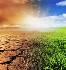 climate-change